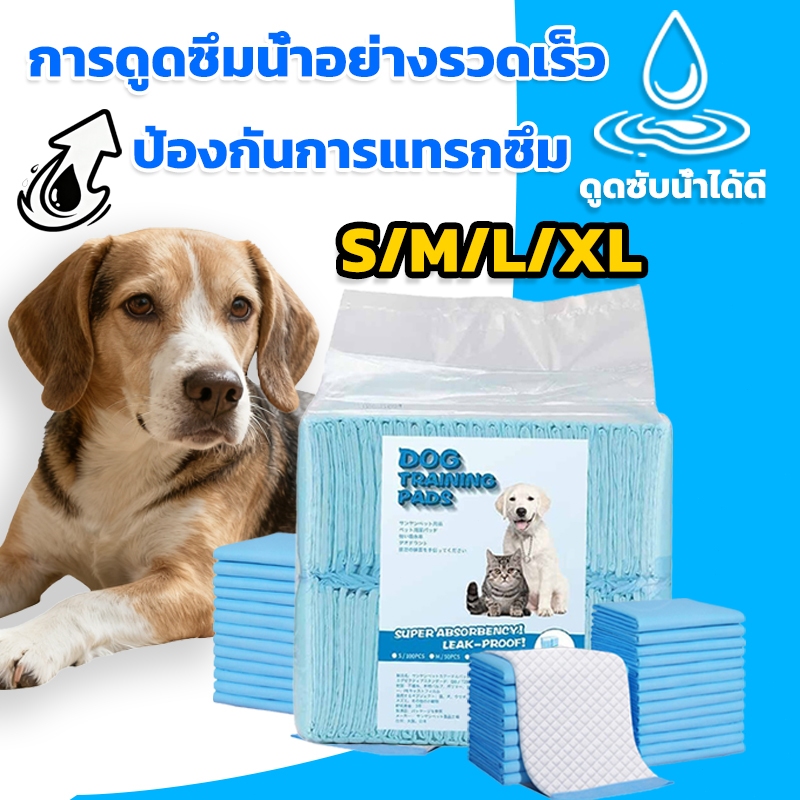 【พร้อมส่ง】แผ่นรองฉี่สุนัข แผ่นรองฉี่ ต่อต้านแบคทีเรีย ซึมซับไดีดี ผ้ารองฉี่ ถาดรองฉี่สุนัข แผ่นรองฉี่แมวทรายแมว