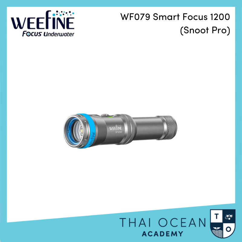 Weefine WF079 Smart Focus 1200 (Snoot Pro)