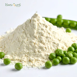 ผงโปรตีนจากถั่วลันเตา มีอย. แท้ ไม่ผสมแป้งและน้ำตาล แบรนด์ไร่พระจันทร์ (Pea Protein Powder โปรตีน ถั่วลันเตาผง ผงธัญพืช)