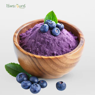 ผงบลูเบอร์รี่ มีอย. แท้ ไม่ผสมแป้งและน้ำตาล แบรนด์ไร่พระจันทร์ (Blueberry Powder ผงเบอร์รี่ ผงบูเบอรี่ บลูเบอรีผง )