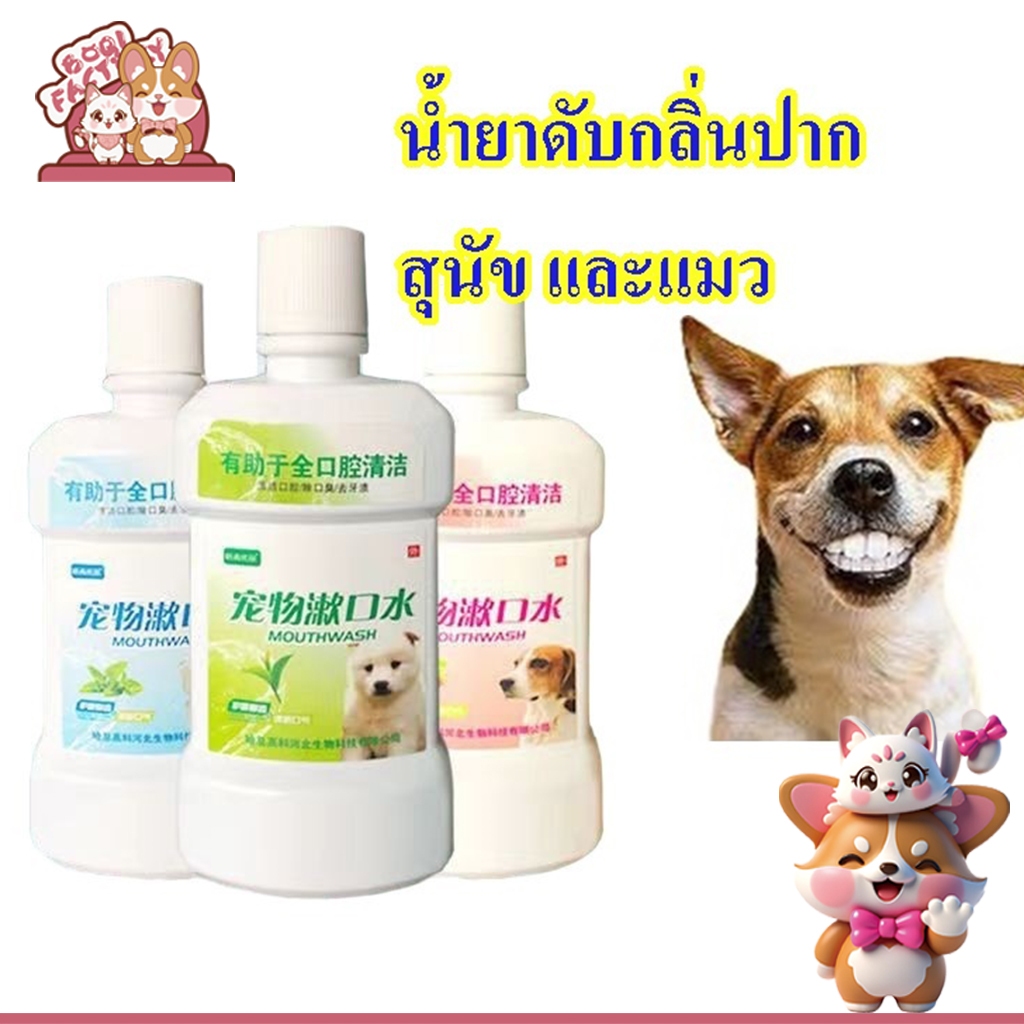 Boqi Factory น้ำยาดับกลิ่นปาก สุนัข และแมว   กินง่าย ใช้กับน้ำพุได้ น้ำยาทำความสะอาดปาก 80018
