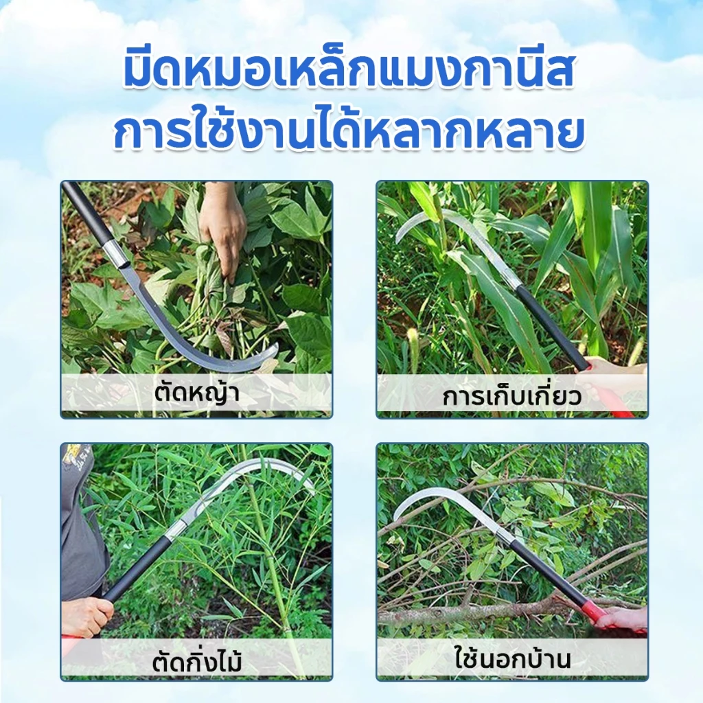 SK5 คมกริบ เหล็กแมงกานิส มีดพร้า มีดขอชัก มีดขอชักกล้วย ตัดแต่งใบกล้วย มีดตัดกล้วย มีดทำสวน มีดตัดแต่งกิ่งไม้ ด้ามยาว thumbnail 9