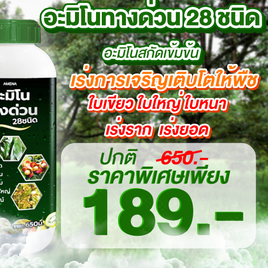 อะมิโนทางด่วน 28 ชนิด แตกยอดเร็ว ใบเขียวเข้ม ฟื้นต้นโทรมไว ใบเขียวเข้ม ใบหนา เงางาม ขนาด 1 ลิตร