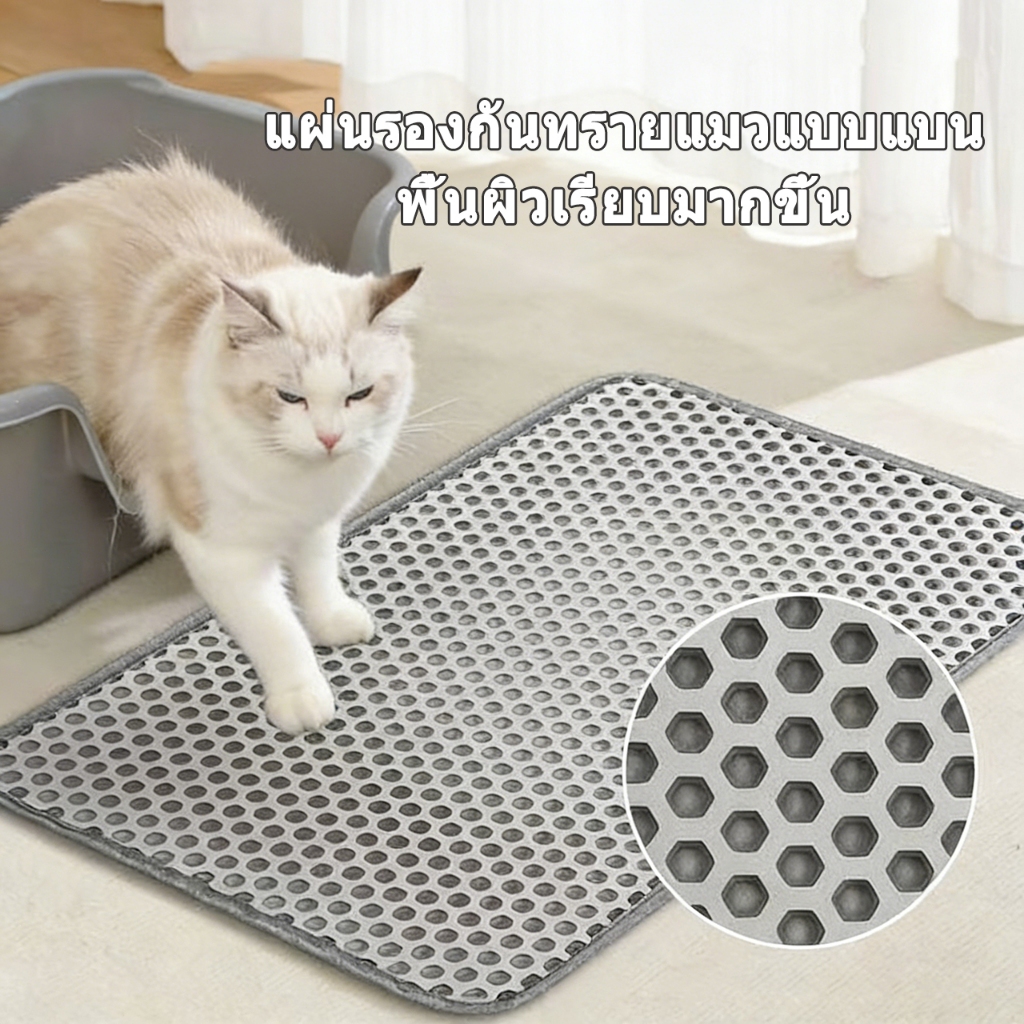 รูปภาพ 3