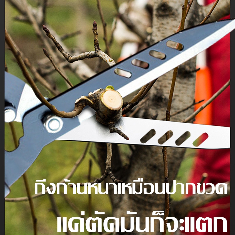 IN กรรไกรตัดหญ้า กรรไกรตัดแต่งพุ่มไม้ กรรไกรตัดกิ่งไม้ ตัดกิ่งไม้ ตกแต่งสวน - รูปที่ 4