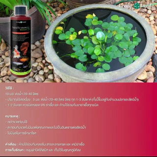 Aquasystem Biocare 250ml จุลินทรีย์ดูแลสมดุลในระบบน้ำ อ่างปลา ผสมสารอาหารและแร่ธาตุสำหรับบำรุงต้นไม้น้ำ Living Inside