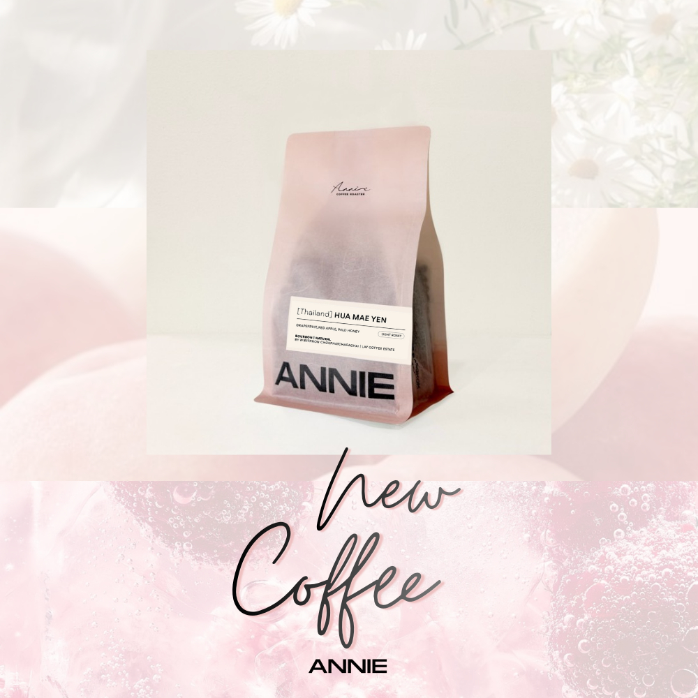 ANNIE - Thailand Hua Mae Yen Bourbon Natural Process คั่วอ่อน