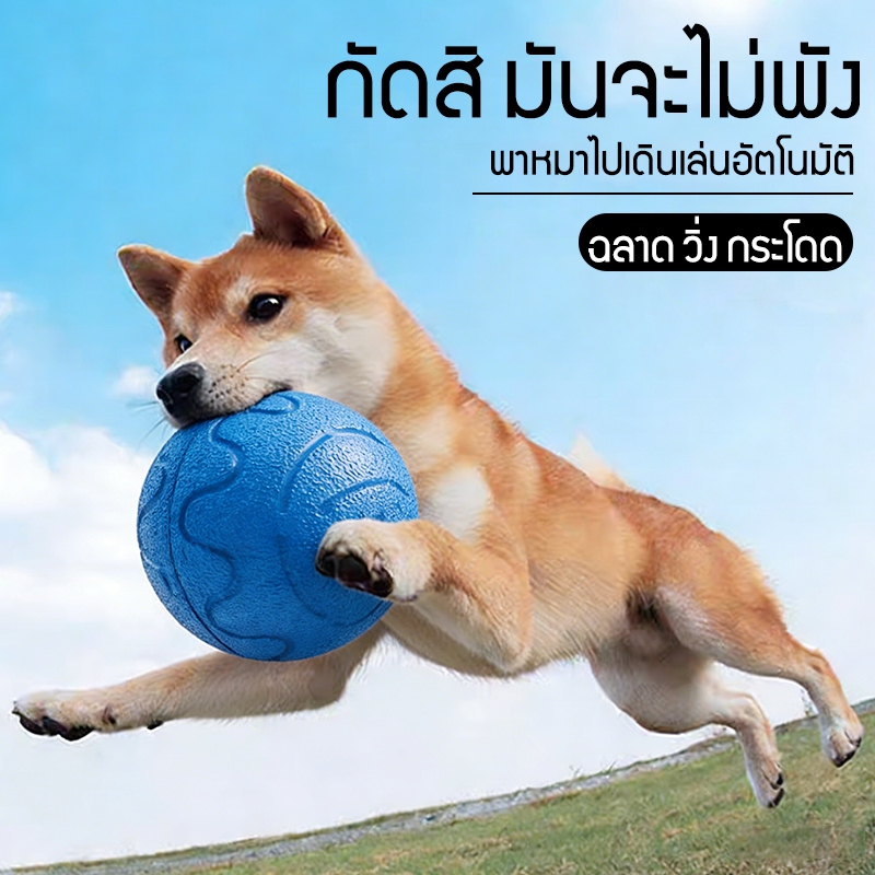 ของเล่นหมาทนๆ ของเล่นหมากัด ลูกบอลไฟฟ้าอัตโนมัติ พอร์ต สําหรับฝึกสุนัข แมว ชาร์จไฟได้ ลูกบอลสุนัข