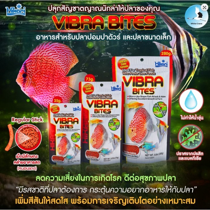 Hikari Vibra Bites อาหารปลาปอมปาดัวร์ เทวดา หมอแคระ อาหารปลากินเนื้อ เม็ดนุ่มคล้ายหนอนแดง ชนิดจมช้า