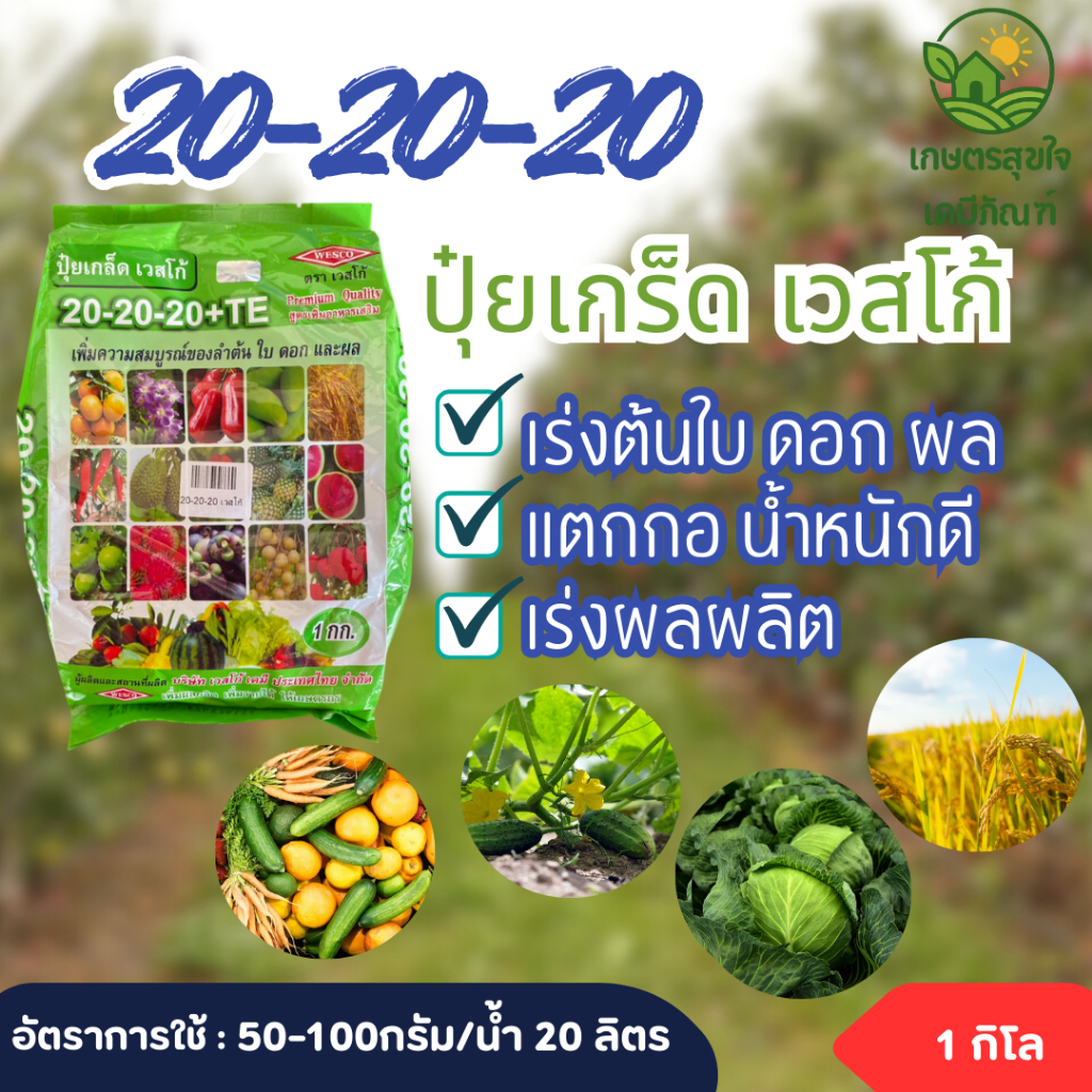 ปุ๋ยเกร็ด 20-20-20 เวสโก้ 1 กิโลกรัม เร่งต้น แตกกอใหญ่ ผลใหญ่