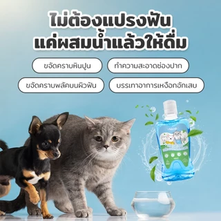 Winky Wink x Petcho น้ำยาบ้วนปากสุนัขและแมว Probiotic ระงับกลิ่นปาก ขจัดแบคทีเรีย คราบพลัค ยับยั้งหินปูน