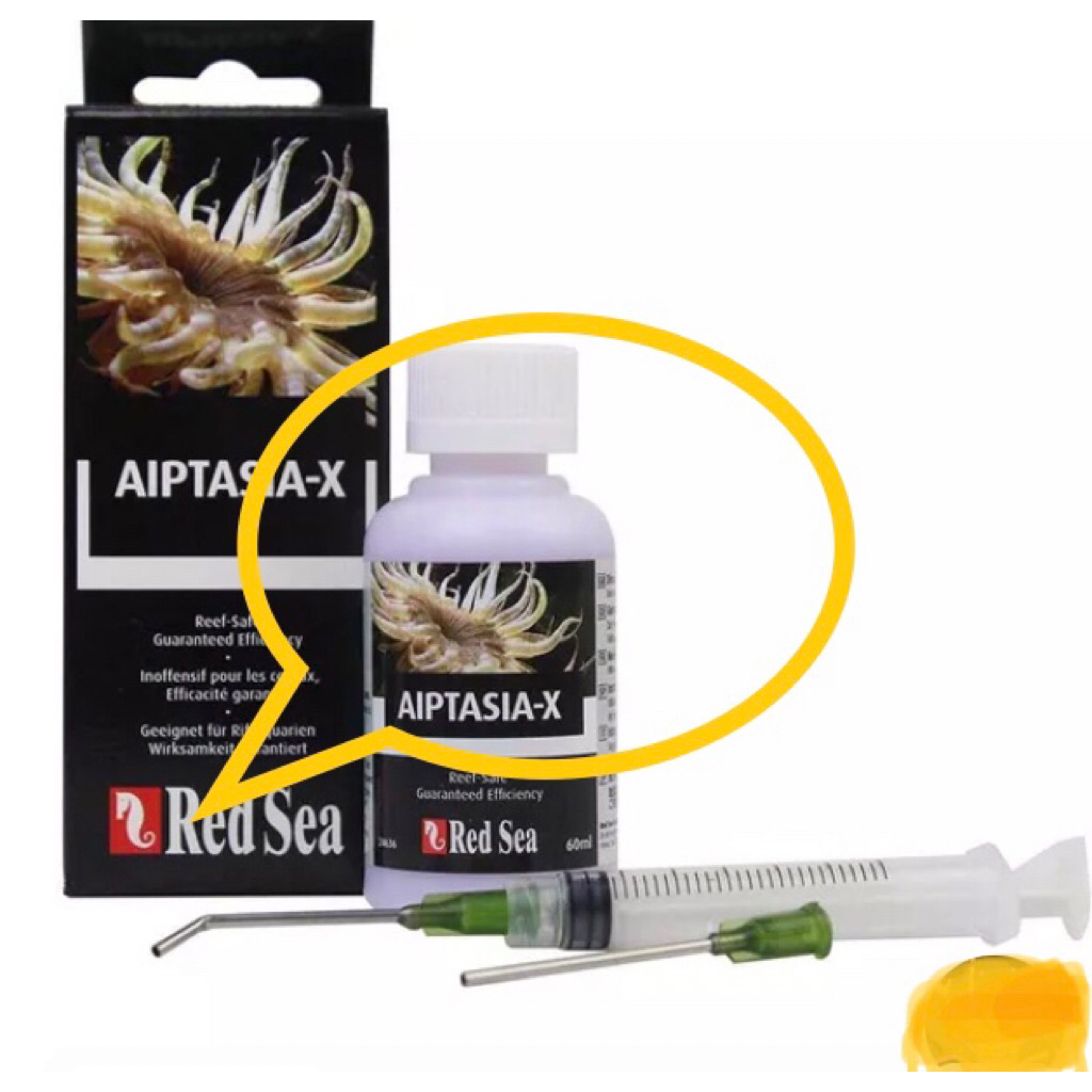 Red Sea Aiptasia-X ผลิตภัณฑ์กำจัดอิปทาเซีย สำหรับตุ้ปลาทะเล 60ml. 📌การจัดส่งสินค้า📌 ตัดรอบการจัดส่งข