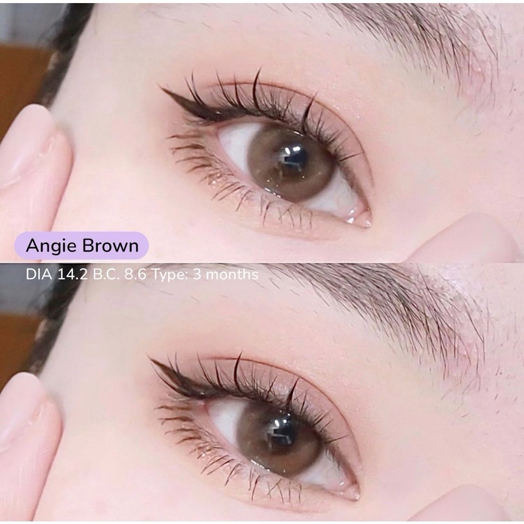 Misslens : Angie Brown -6.00 / 3 month