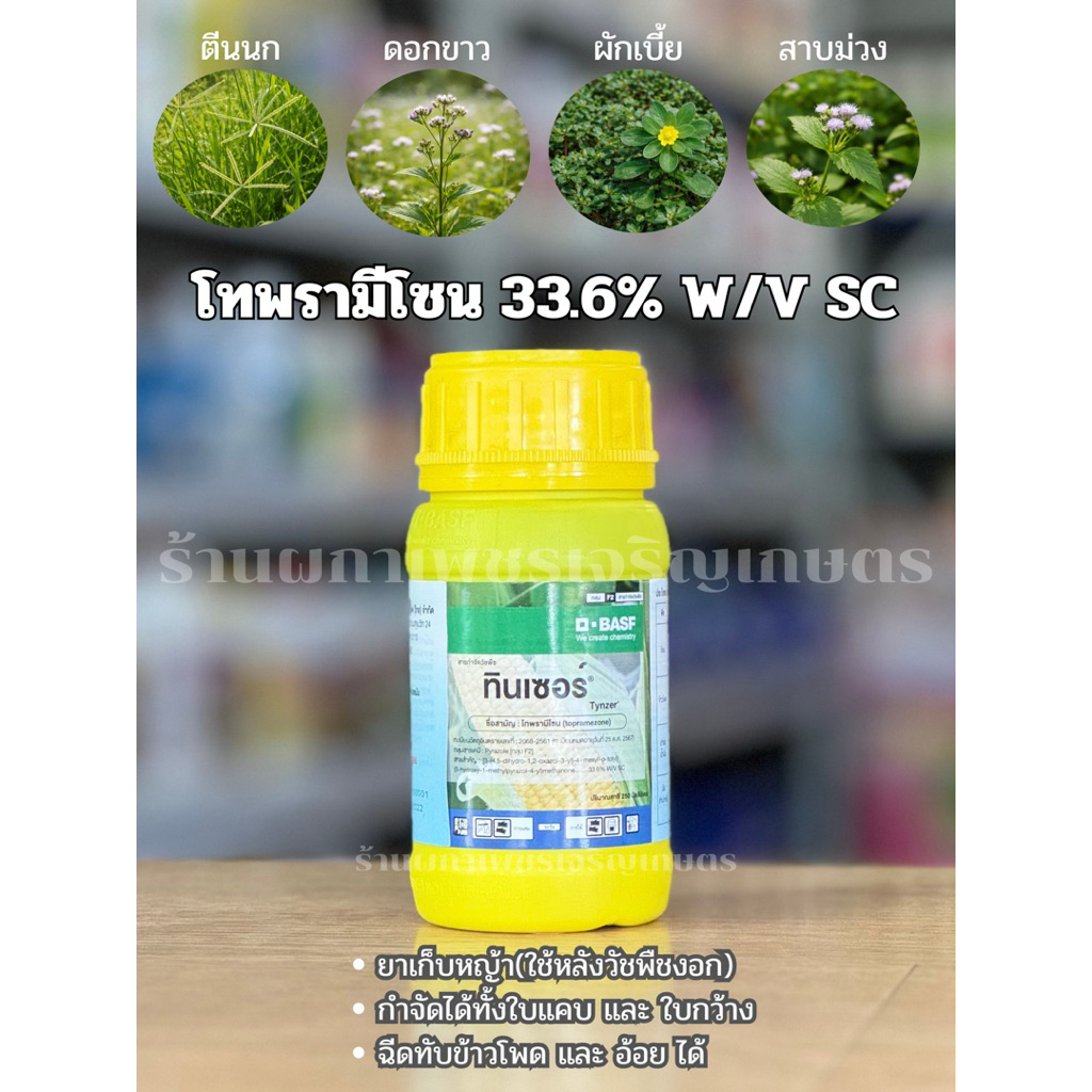 ทินเซอร์ (250cc) โทพรามีโซน33.6% กำจัดใบแคบใบกว้างหลังวัชพืชงอก ใช้กับอ้อย ข้าวโพด ปาล์ม มันสำปะหลัง โดยไม่ทำลายพืชปลูก