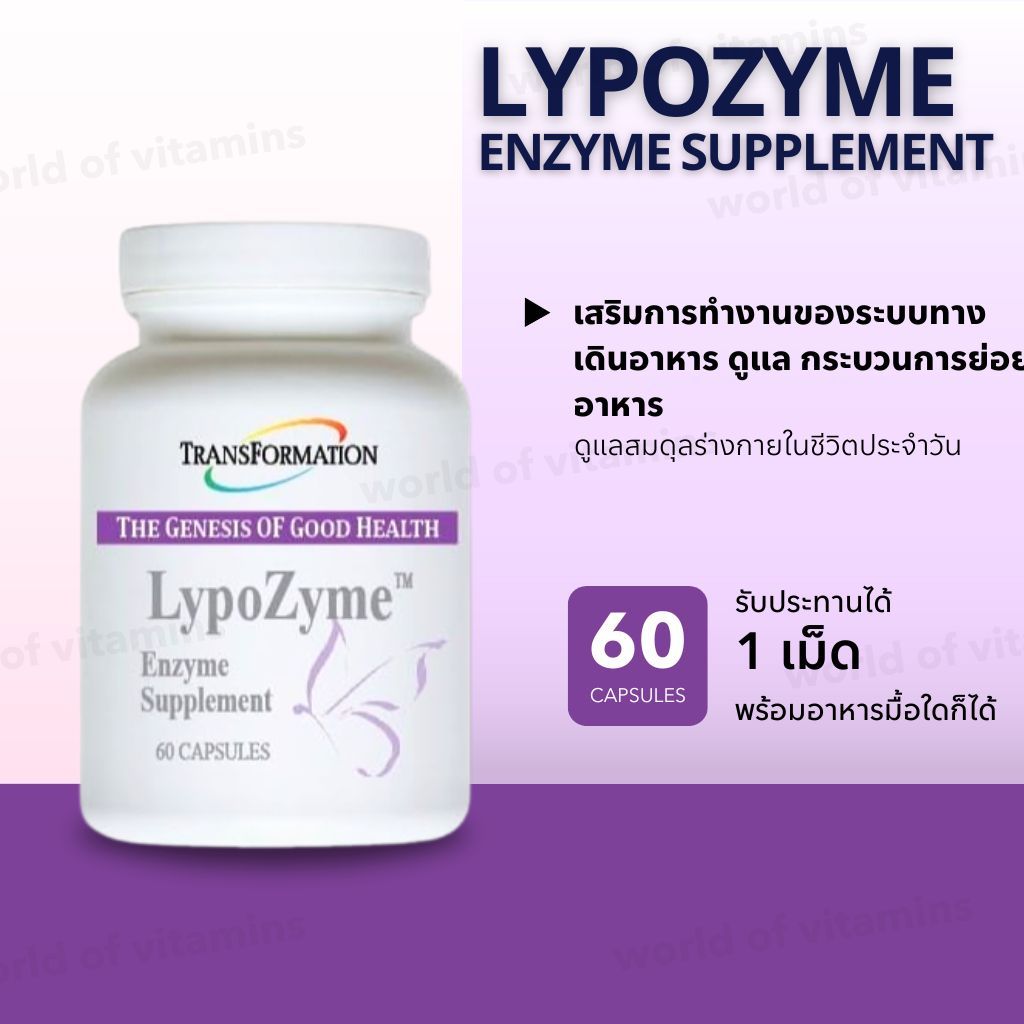 Transformation Enzyme LypoZyme – Enzyme Supplement ขนาด 60 Capsules (Sku.2675)