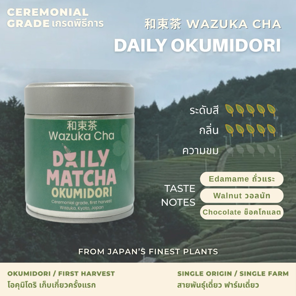 Matcha Daily Okumidori [Ceremonial Grade] ผงมัทฉะญี่ปุ่น เกรดพิธีการ 30 / 40 / 100g