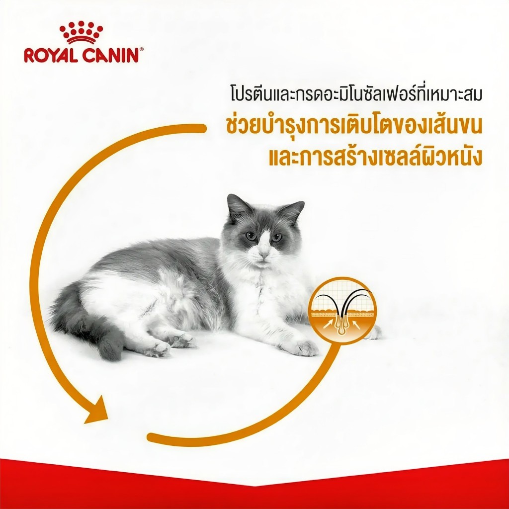 [แบ่งขาย] อาหารแมว Royal canin สูตร Hair&Skin 500g 1kg 2kg บำรุงขนและผิวหนัง รูปที่ 4