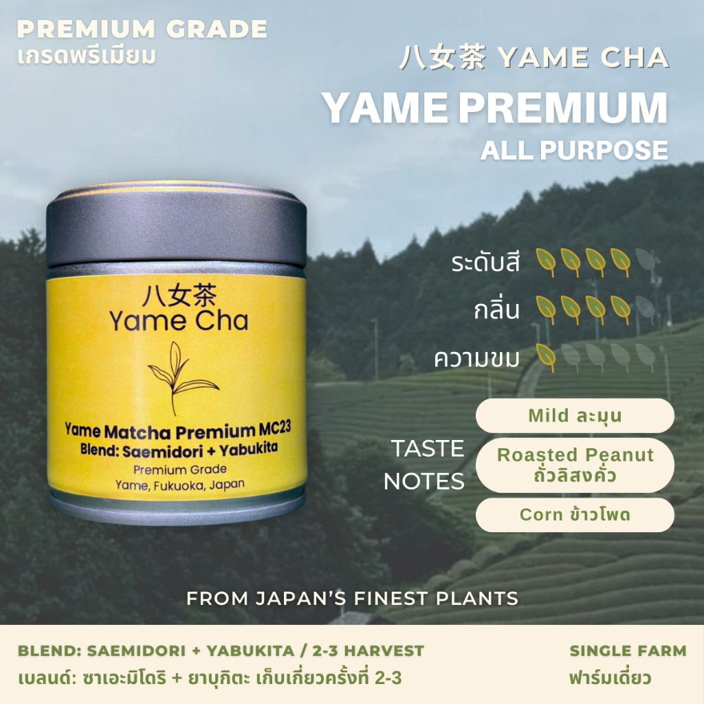 Matcha Yame Premium (All Purpose) [Premium Grade] ผงมัทฉะญี่ปุ่น (อเนกประสงค์) เกรดพรีเมียม 30 / 100g