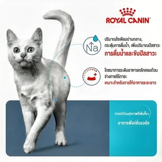 (แบบแบ่งขาย) ROYAL CANIN อาหารแมวโต ที่ต้องการดูแลสุขภาพทางเดินปัสสาวะ ชนิดเม็ด (URINARY CARE)