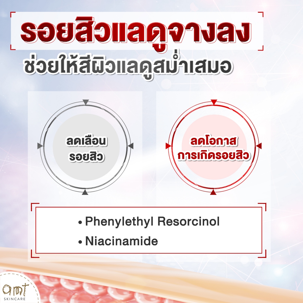 [แพ็คคู่] AMT LIPOSOME ACNE SPOT SERUM ขนาด 7 mL - รูปที่ 2