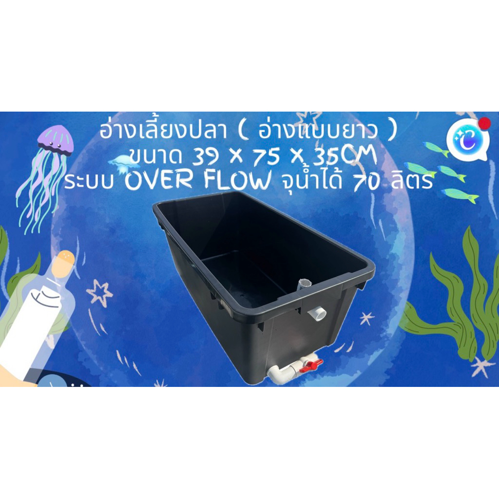 อ่างเลี้ยงปลา 70 ลิตร ระบบoverflow 39x 75x 31cm ท่อวาล์วขาว อ่างปลา อ่างเลี้ยงปลา กะบะปลา อ่างปลาบอลลูน อ่างปลาเมกาดะ