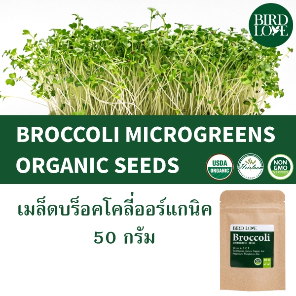 เมล็ดไมโครกรีนบร็อคโคลี่ (ออร์แกนิค) 50 กรัม Broccoli Microgreens (organic) seeds 50 g.