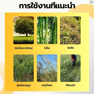 【วัชพืชดื้อ】กำจัดวัชพืช 500g ยาฆ่าตอไม้ ยาฆ่าต้นไม้ใหญ ตรงไปที่ราก สารกำจัดกอไผ่ สากลทุกฤดูกาล ผลติดทนนาน