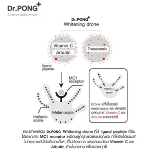 Dr.PONG MC1 WHITENING DRONE MELAS CLEAR BODY SERUM เซรั่มผิวกาย สำหรับ ฝ้ากระ จุดจ่างดำ