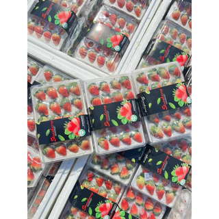 ส่งด่วน 4 ชม. สตอเบอร์รี่จีน สตอเบอร์รี่นำเข้าจากประเทศจีน แพ็คละ 20 ลูก หวานอมเปรี้ยว น้ำหนัก 350 กรัม ตู้ใหม่ สวย สด