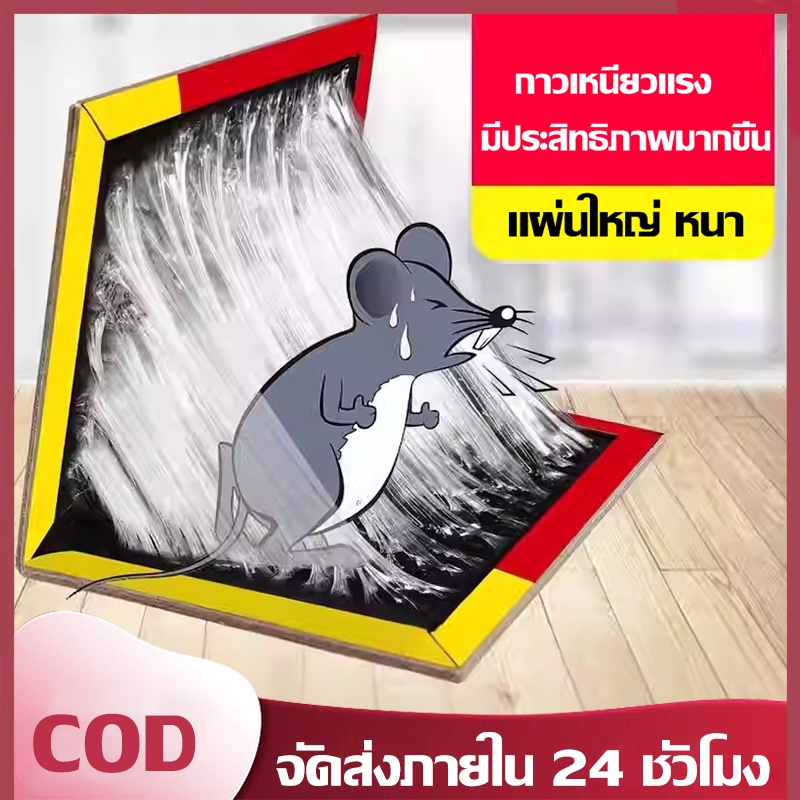 แผ่นกาวดักหนู ดักหนูและหนูใหญ่ กาวเหนียวพิเศษ ไม่มีกลิ่น ปลอดภัย ใช้งานง่าย เหมาะสำหรับบ้าน ร้านค้า และโกดัง