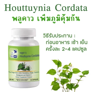 พลูคาว คาวตอง Cordata ตรา บลูเบิร์ด ขนาด 600 มิลลิกรัม 60 แคปซูล