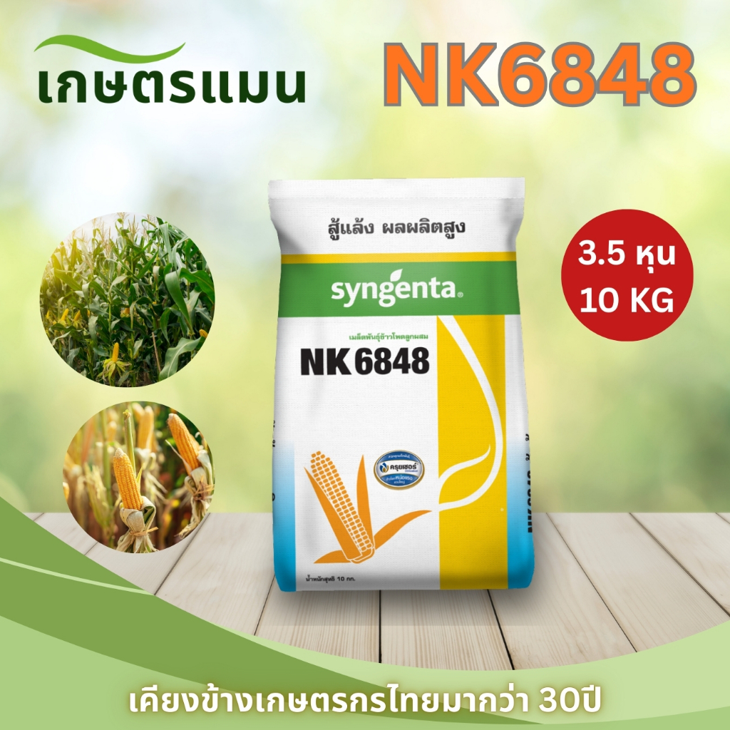 ข้าวโพดเลี้ยงสัตว์ เอ็นเค 6848 (NK6848) 3.5 หุน 10 กก. สู้แล้ง ผลผลิตสูง