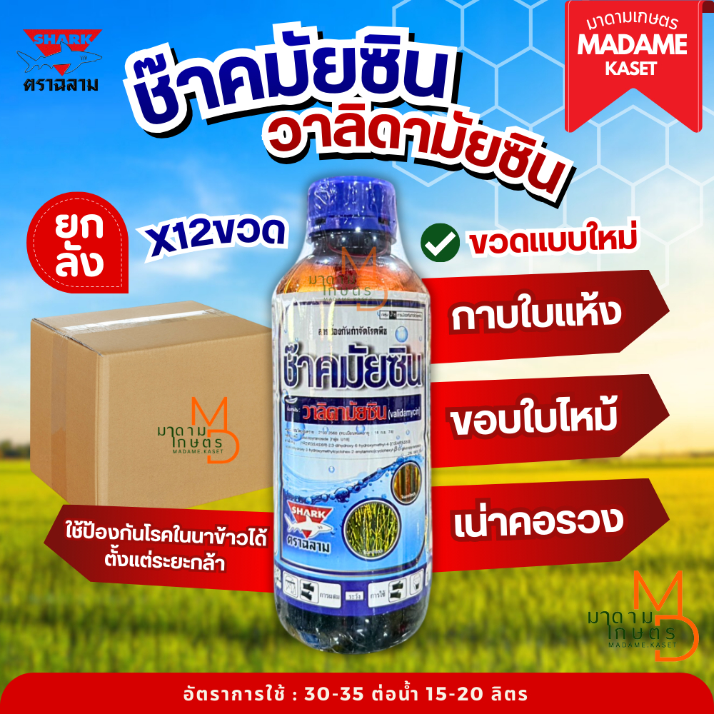 ยกลัง x12 ขวด**จำกัดออเดอร์ละ1ลัง** | ช๊าคมัยซิน(วาลิดามัยซิน) หยุดเชื้อราออกฤทธิ์ไว เก่งโรคกาบใบแห้ง โรคใบไหม้ โรคเมล็ด