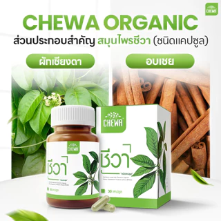 [ส่งฟรี] Chewa ชีวา ผลิตภัณฑ์เสริมอาหารสมุนไพรผักเชียงดา ชนิดแคปซูล 30 แคปซูล มือชาเท้าชา น้ำตาลสูง (2 กระปุก)