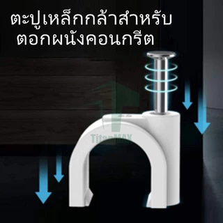 คลิปยึดสายเคเบิล ของขวัญสายเคเบิลเครือข่าย🎁 สำหรับสายเคเบิลเครือข่าย （1แพ็ค/30ชิ้น）