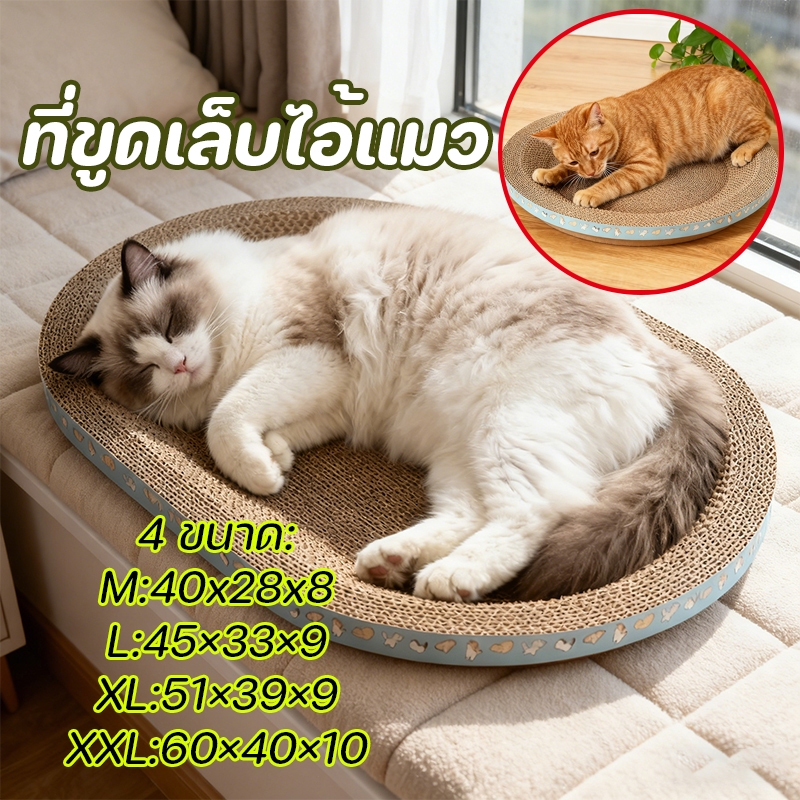 ทรงวงรี ที่ลับเล็บแมว คุณภาพดี ที่ลับเล็บแมว 2in1 แผ่นลับเล็บ อ่างลับเล็บ ของเล่นแมว ขนาด M L XL XXL สำหรับแมวทุกวัย