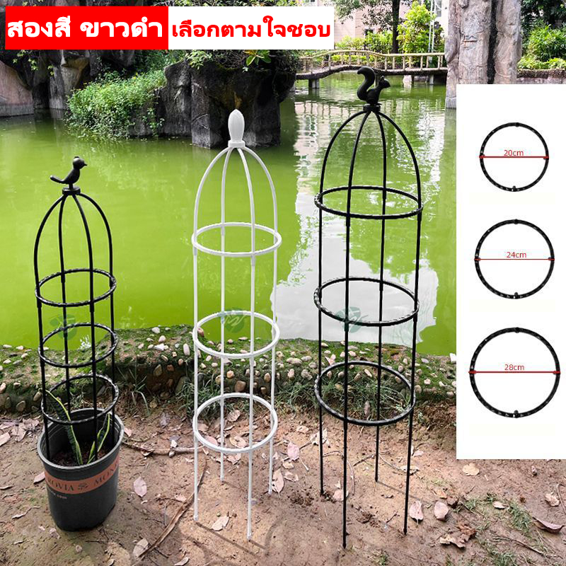 ซุ้มไม้เลื้อย ขนาด 145 x 28cm สีดำ สีขาว สีดำ