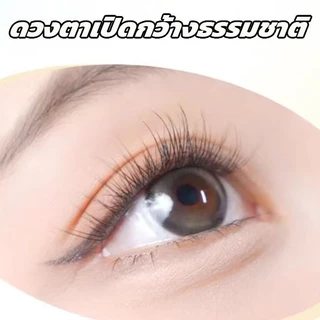 ขนตาปลอม กาวในตัว ติดง่าย เรียงเส้นสวย เป็นธรรมชาติ มีให้เลือกถึง 8 ทรง