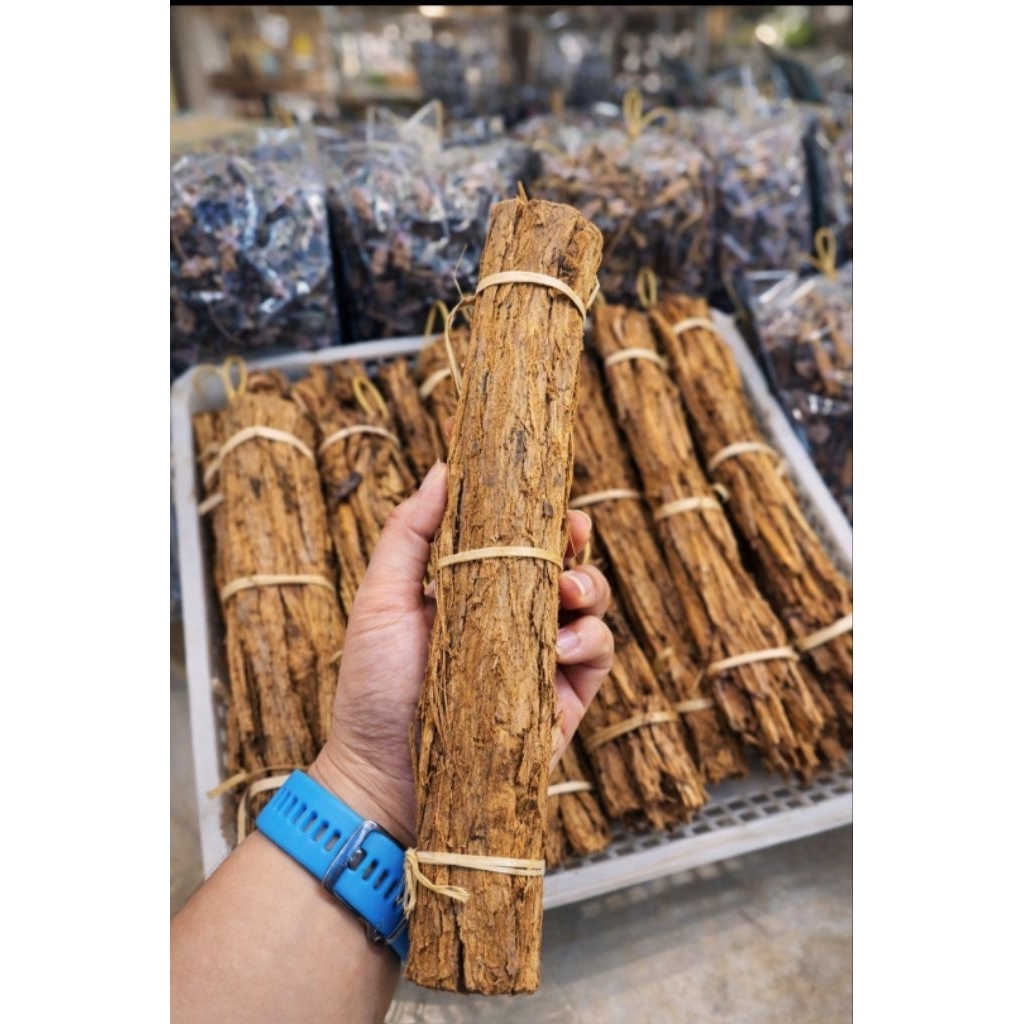 เปลือกไม้พะยอม(กินหมาก) ใช้สำหรับกินคู่กับหมาก เกรดA(เปลือกกะหาด)