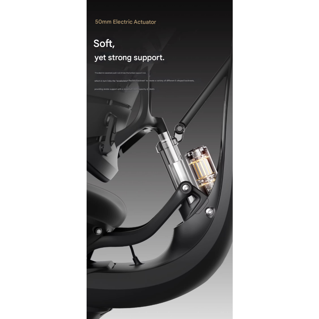 Ergonomic Chair LiberNovo Omni Dynamic ออกแบบตามหลักสรีรศาสตร์ เก้าอี้คอมพิวเตอร์ เก้าอี้สำนักงาน เก้าอี้เกมมิ่ง รูปที่ 5