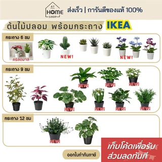 [เก็บโค้ดก่อนสั่ง] ส่งเร็ว อิเกีย แท้💯 ต้นไม้ปลอม เหมือนจริง พร้อมกระถาง แต่งห้อง มินิมอล มอนสเตลล่า ต้นไม้ IKEA