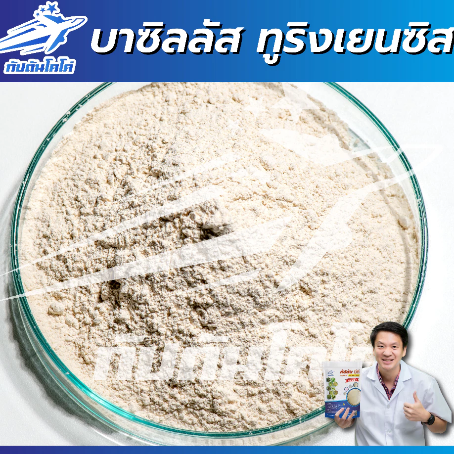 กัปตันบีที Bt สูตรเข้มข้น Bacillus Thuringiensis กำจัดแมลง thumbnail 5