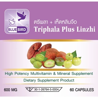 [1แถม1] ตรีผลา+เห็ดหลินจือแดง Triphala Plus Linzhi ตรา บลูเบิร์ด ขนาด 600 มิลลิกรัม 60 แคปซูล