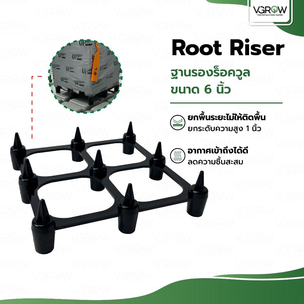 Root Riser ฐานรองร็อควูล ขนาด 6 นิ้ว รูทไรเซอร์ Rockwool ร็อควูล ฐานยกรากใยหิน6นิ้ว