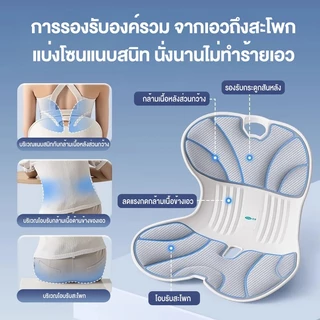 เบาะรองนั่งเพื่อสุขภาพ เก้าอี้รองปรับท่านั่ง ปรับท่านั่งให้ถูกต้อง ช่วยลดอาการปวดหลัง