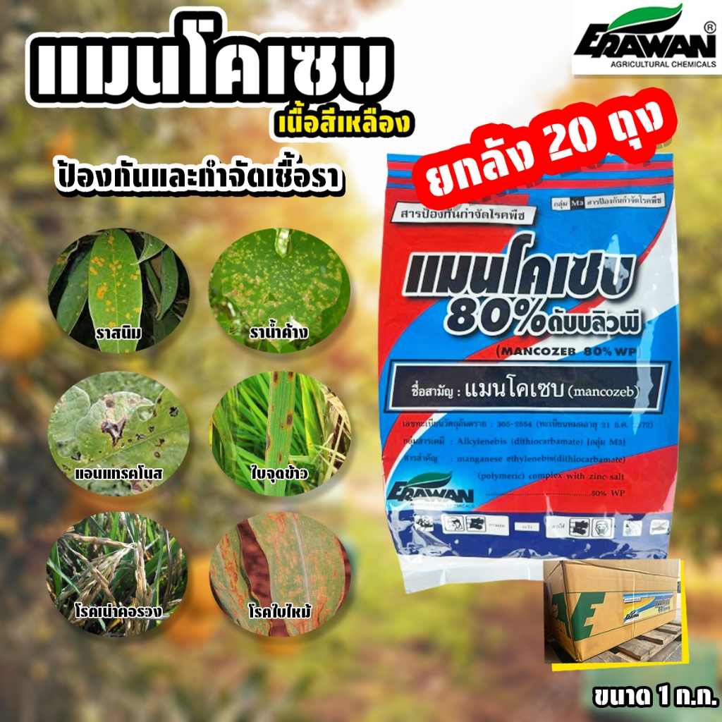 (ยกลัง24ถุง) แมนโคเซบ เอราวัณ (เนื้อสีเหลือง) ขนาด 1 ก.ก.