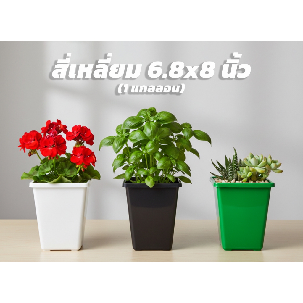 กระถางต้นไม้ ทรงสี่เหลี่ยม สูง 6.8x8 นิ้ว สีขาว สีดำ สีเขียว แพ็ค 10 ใบ (1 แกลลอน)