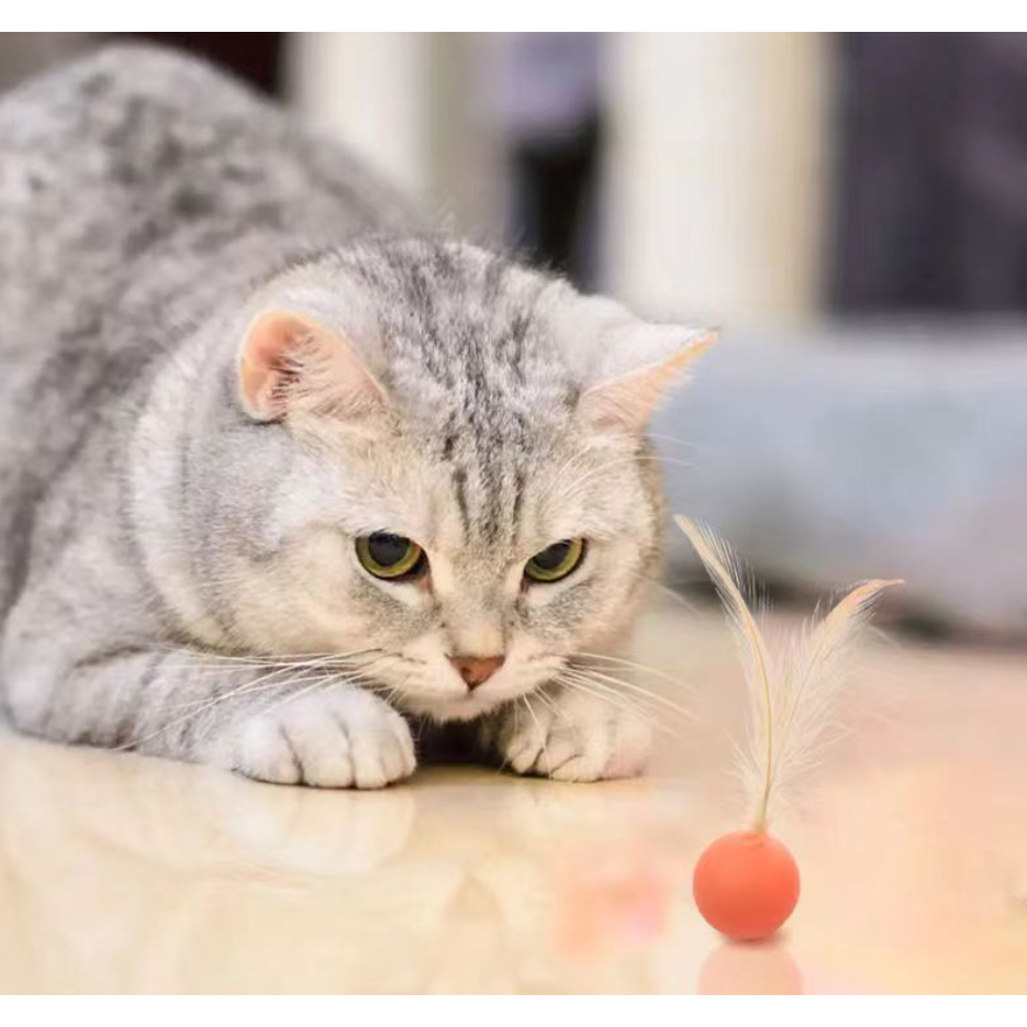 AL-1632 ของเล่นแมว ลูกบอลเด้ง พร้อมขนนก สําหรับแมว ทุกวัย 3สี ทนทาน พร้อมส่ง