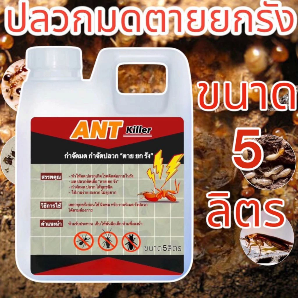 น้ำยากำจัดปลวก ขนาด 5ลิตร สุดคุ้ม ใช้กำจัดมด แมลงสาบ ตะขาบ และแมลงต่างๆ