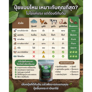 ปุ๋ยขี้นกกระทาแท้ 100% สูตรเข้มข้น เร่งใบเขียว บำรุงราก ผักงาม ไม้ดอกสวย ปุ๋ยอินทรีย์บดละเอียด 500 กรัม